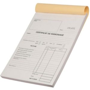 Le ramonage du conduit de cheminée : une obligation annuelle
